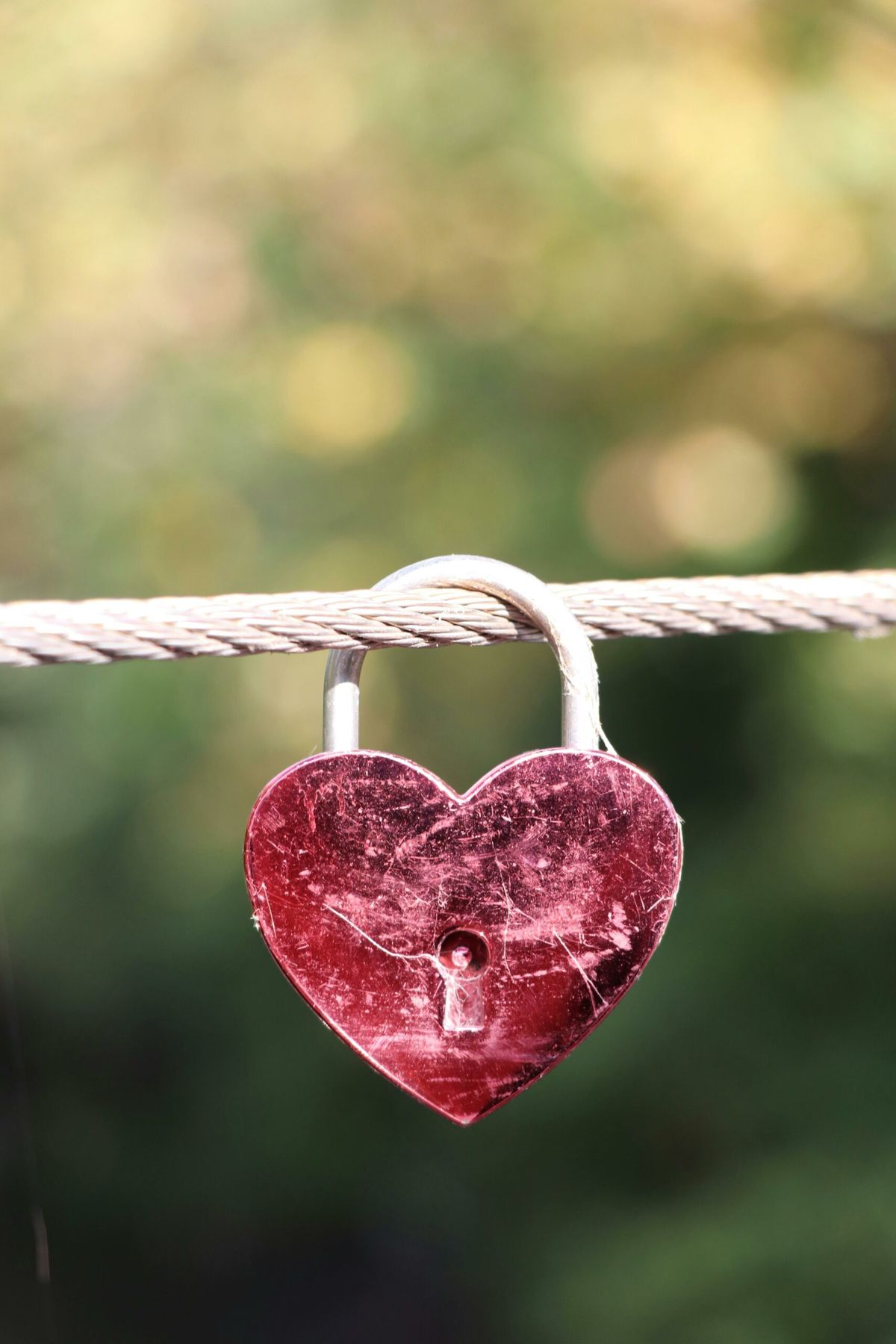 Trusting The Heart