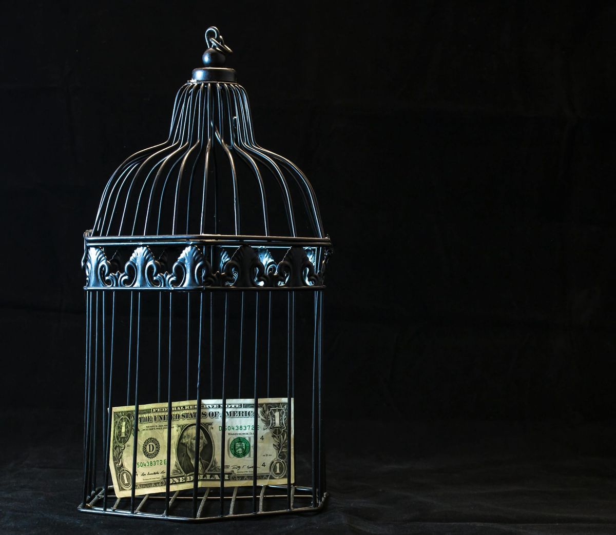 Trauma for Sale, Part 2