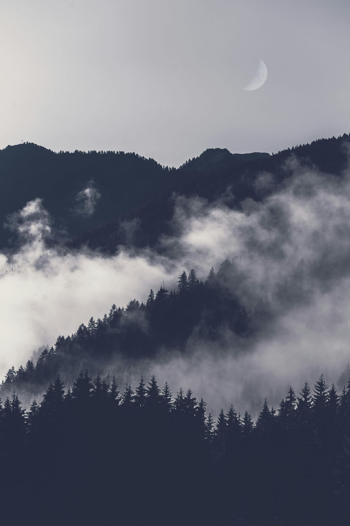 Logic Class Vs. Debate, Part 2: A Reflection on Shame