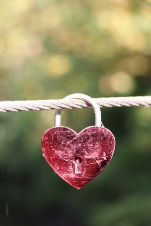 Image of: Trusting The Heart