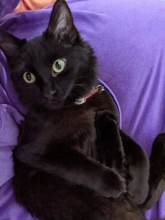 Image of: Limited Space for Keepsakes