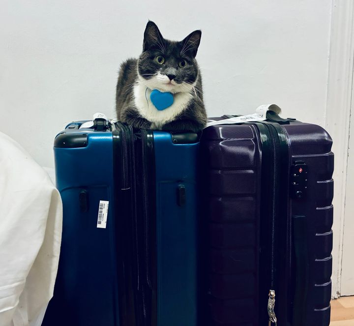 I Fled the United States.