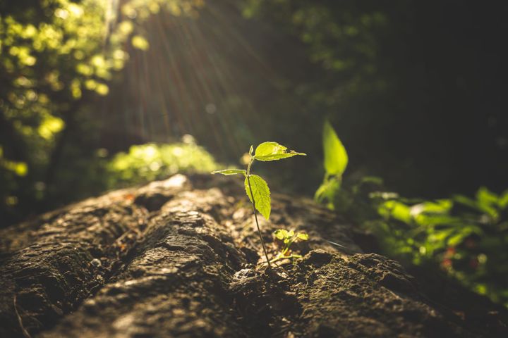 Growth is a Virtue