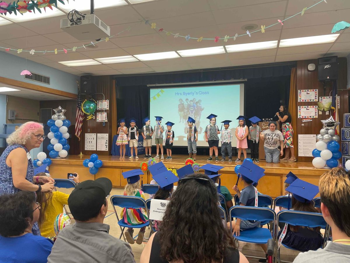 How important are "good" schools to you?