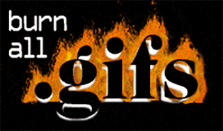 GIF that reads "Burn all GIFs" with fire in the background.