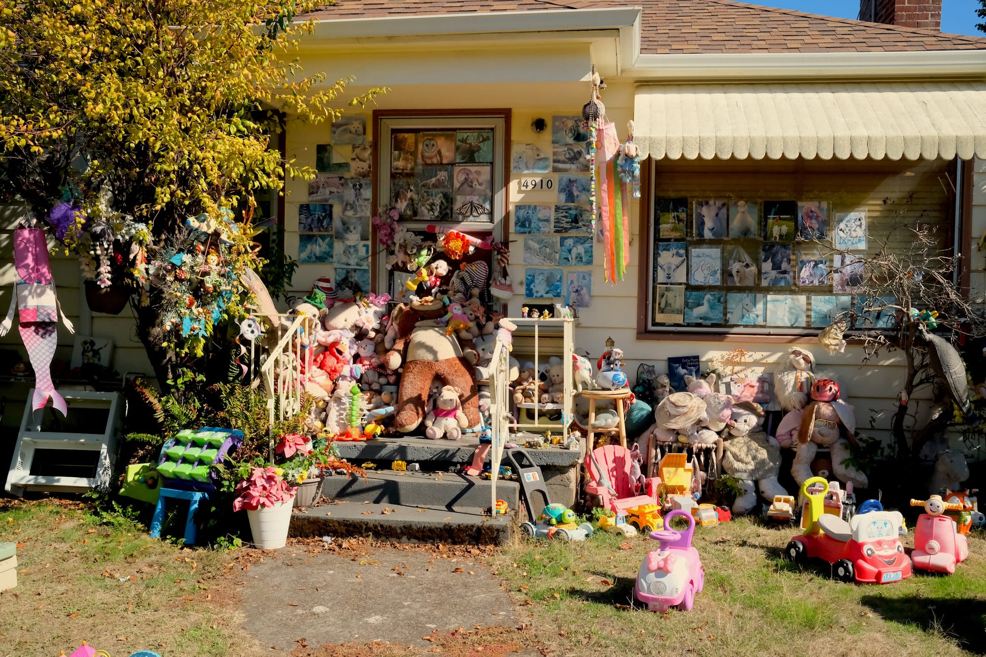A house on Alberta Street is decorated with hundreds of toys, plush animals, and photos of animals taped in the windows and on the walls. It's very quirky and cute.