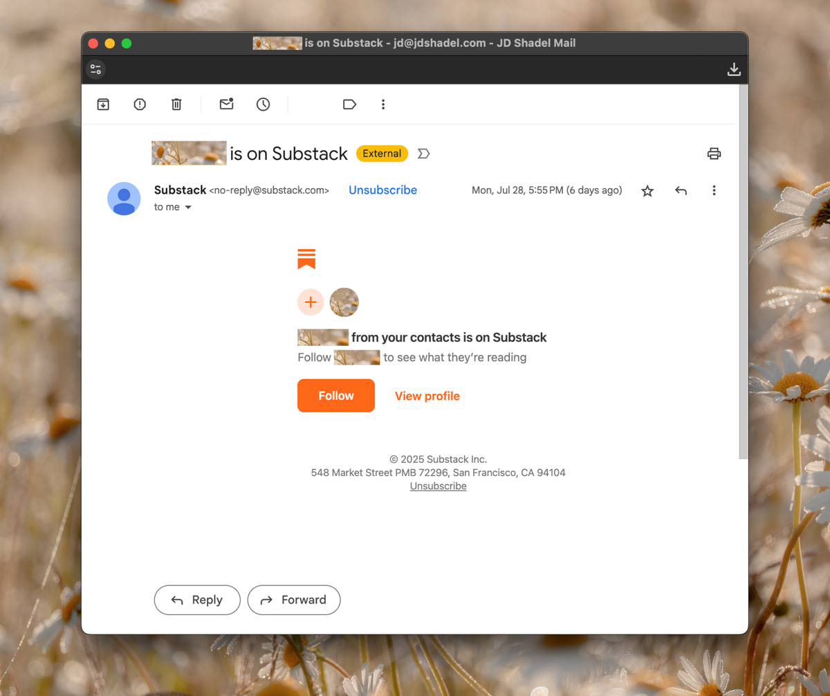 A screenshot of an email from Substack appears above a beige background of white flowers.