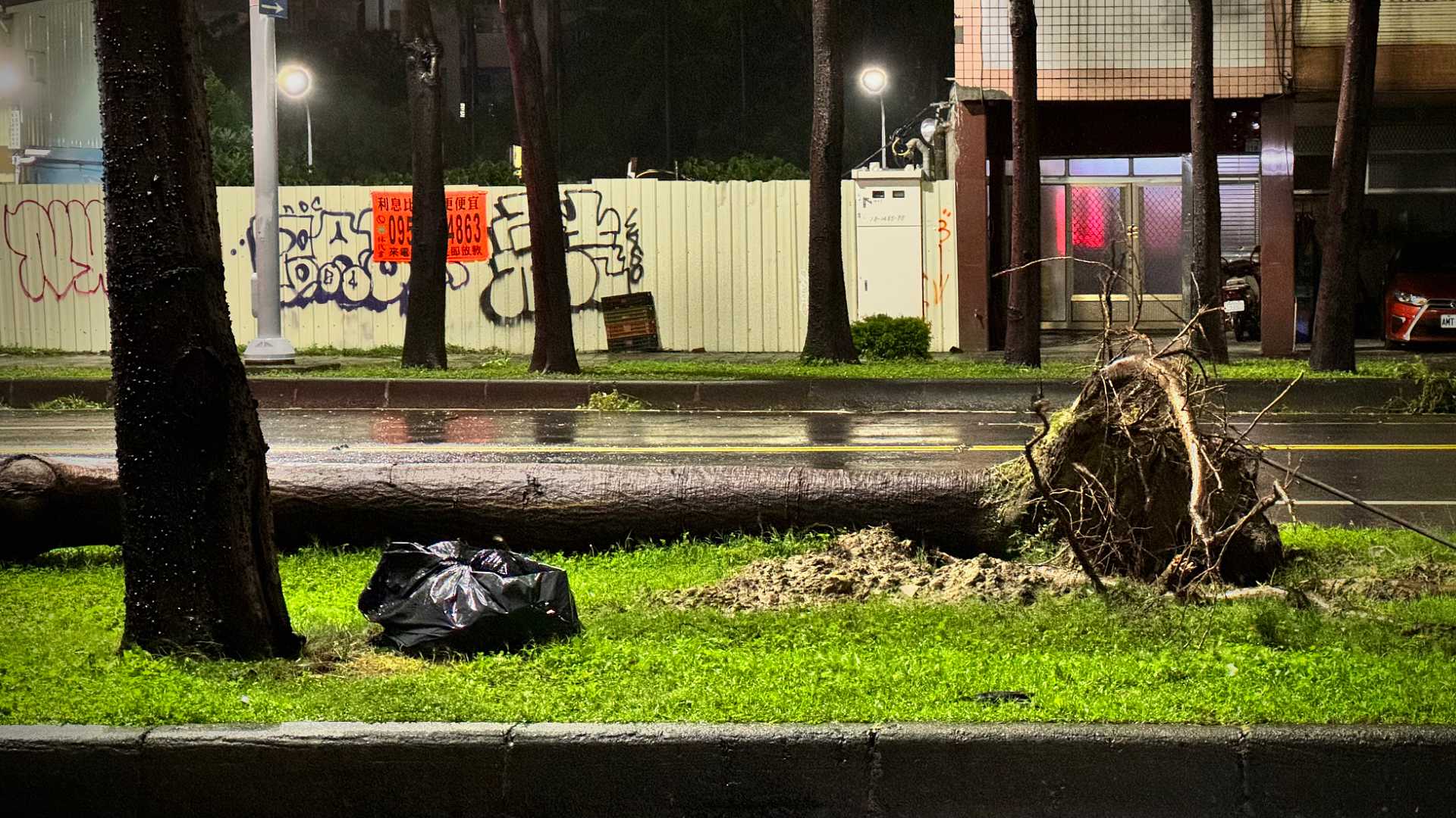 An uprooted, fallen tree, on a grassy median strip in Kaohsiung, Taiwan.