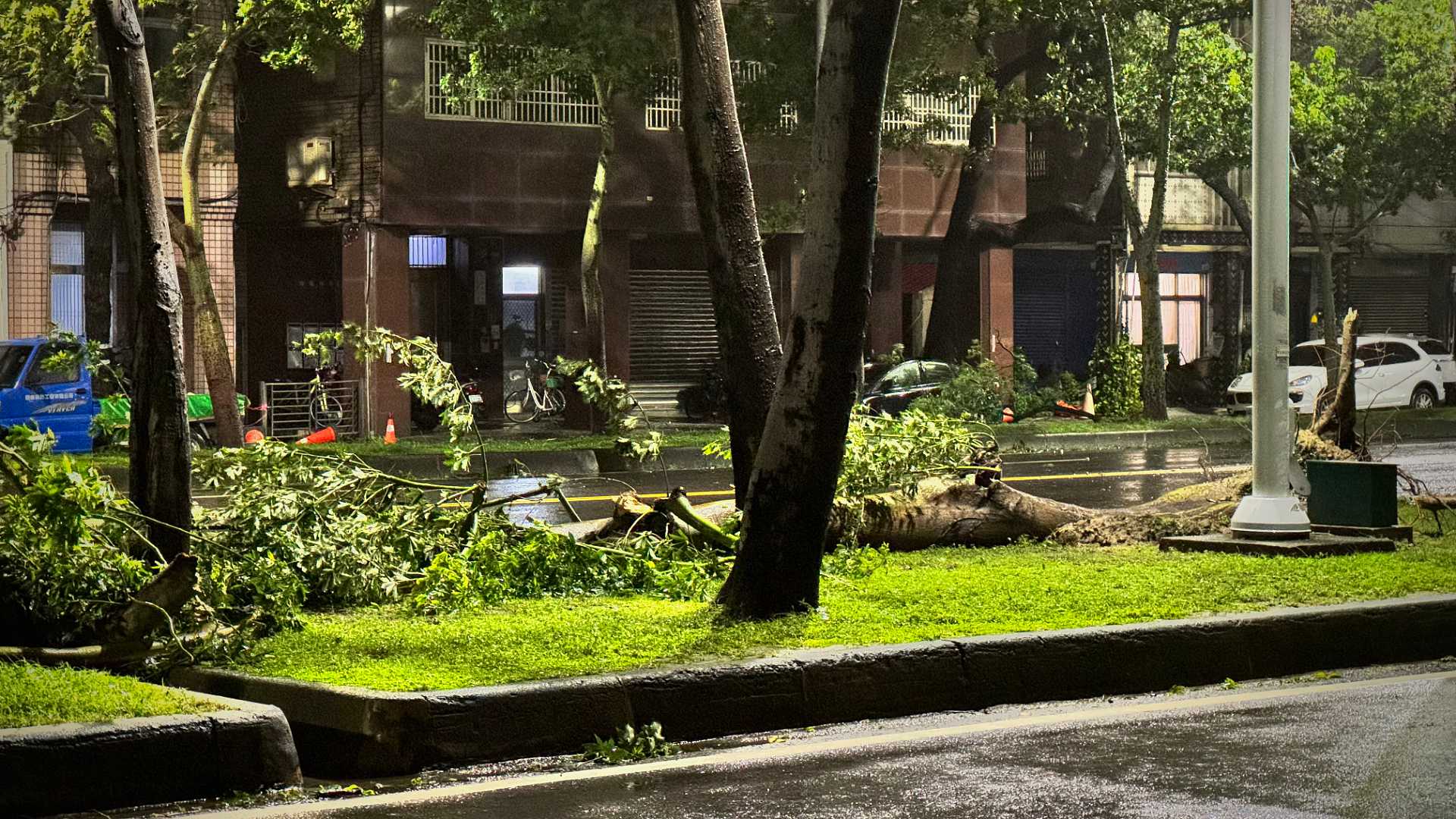 A fallen tree on a grassy median strip in Kaohsiung Taiwan.