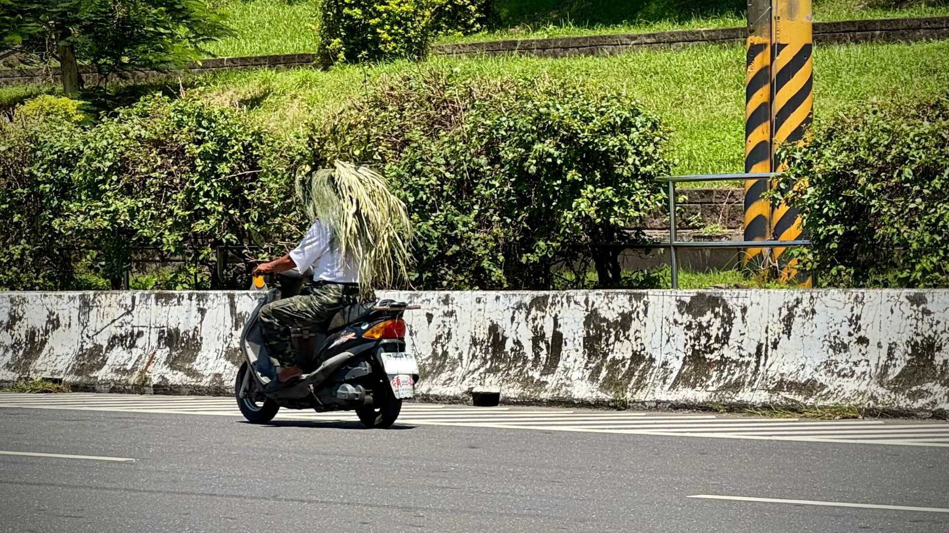 A man riding a scooter with a makeshift helmet made of plant material, hanging from his head to his waist.