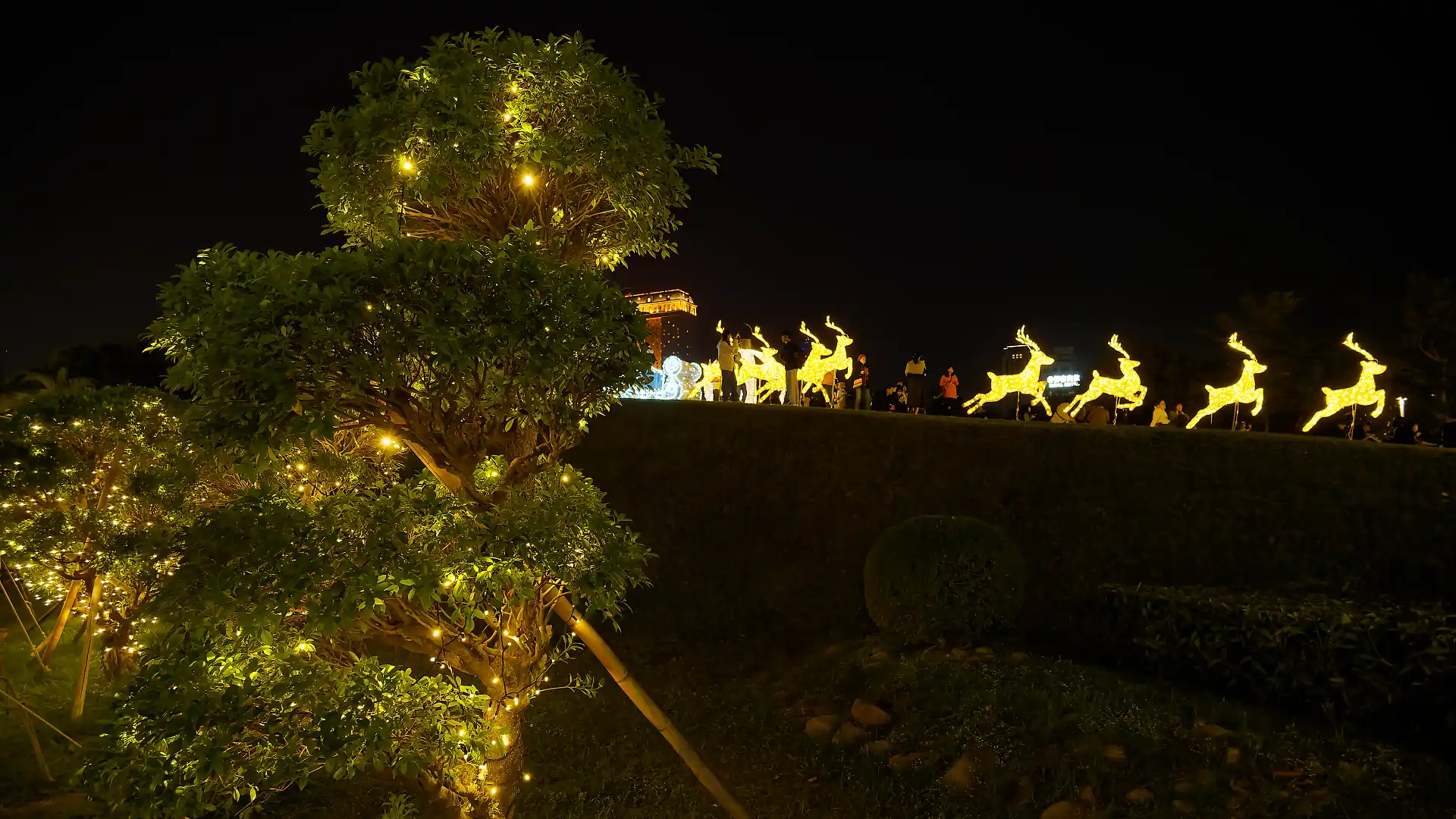 A tree covered in string lights in the foreground, and light sculptures of reindeer pulling a sleigh on a grassy mound in the distance.