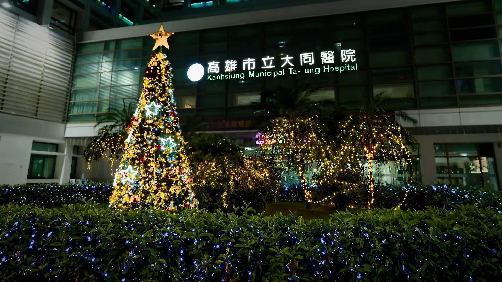 A large Christmas tree and a hedge and trees festooned with string lights, outside Kaohsiung Municipal Ta-Tung Hospital.