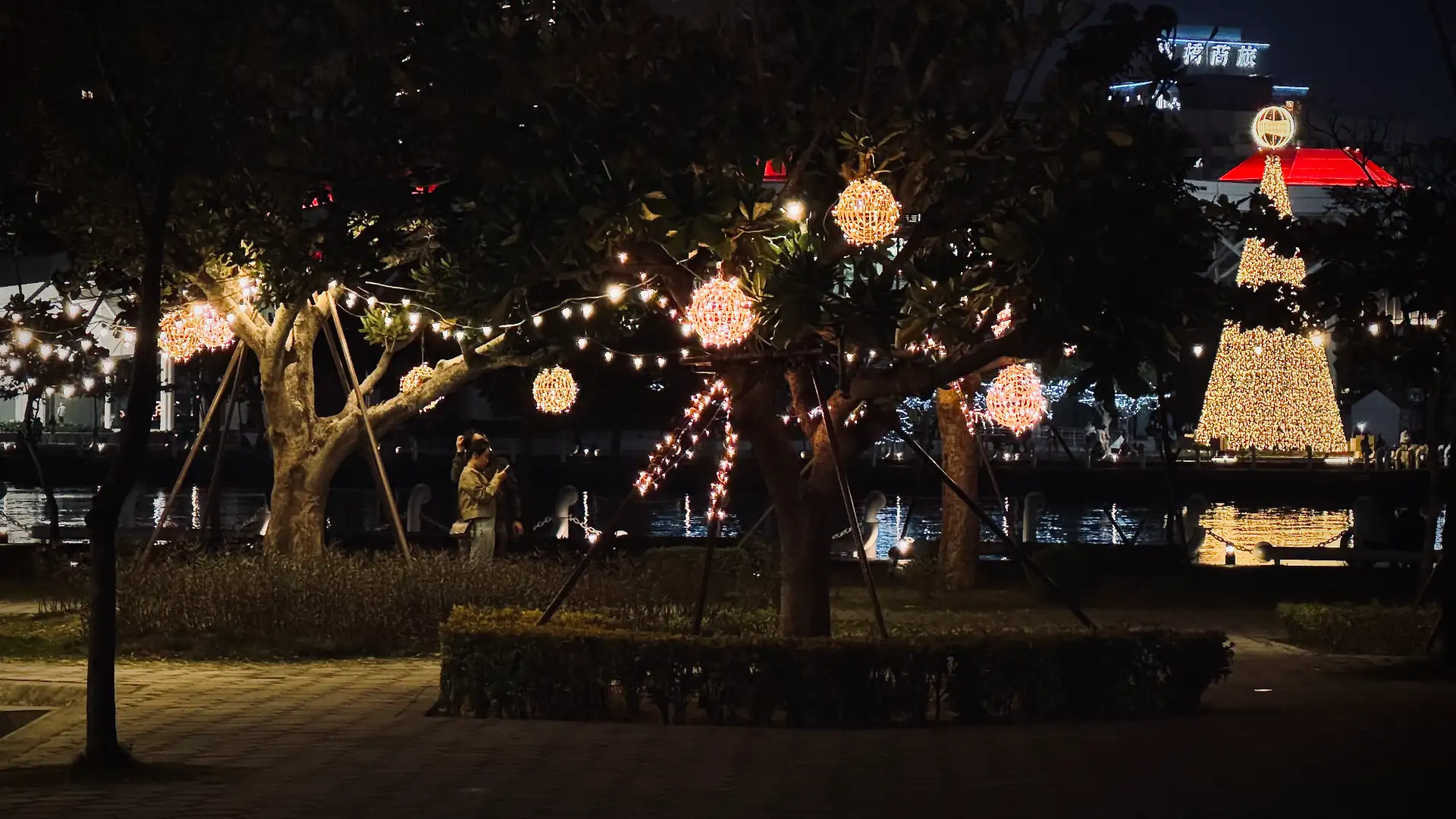 Tasteful Christmas lights hanging in trees.
