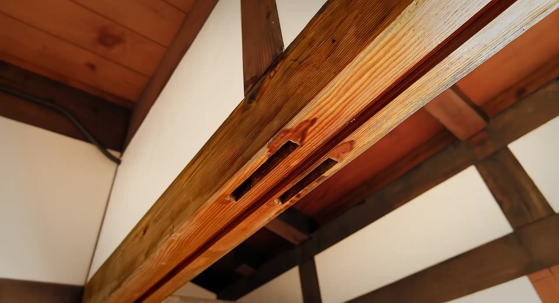 Close-up of some of the wooden frame of ‘A Book Wooden House’.