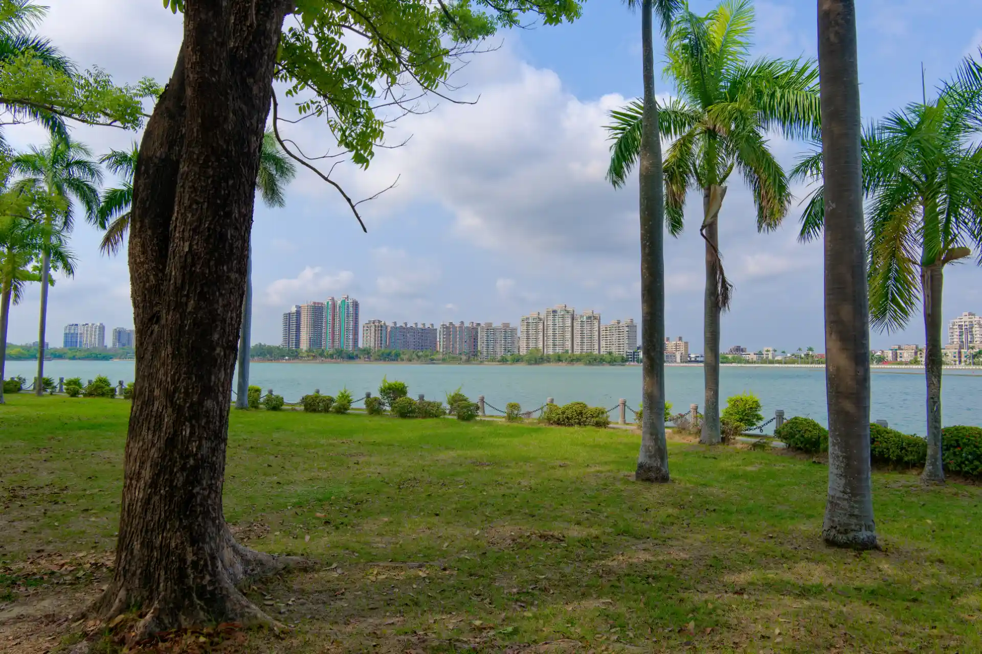 View across Chengcing Lake to modern medium-rise apartment buildings.