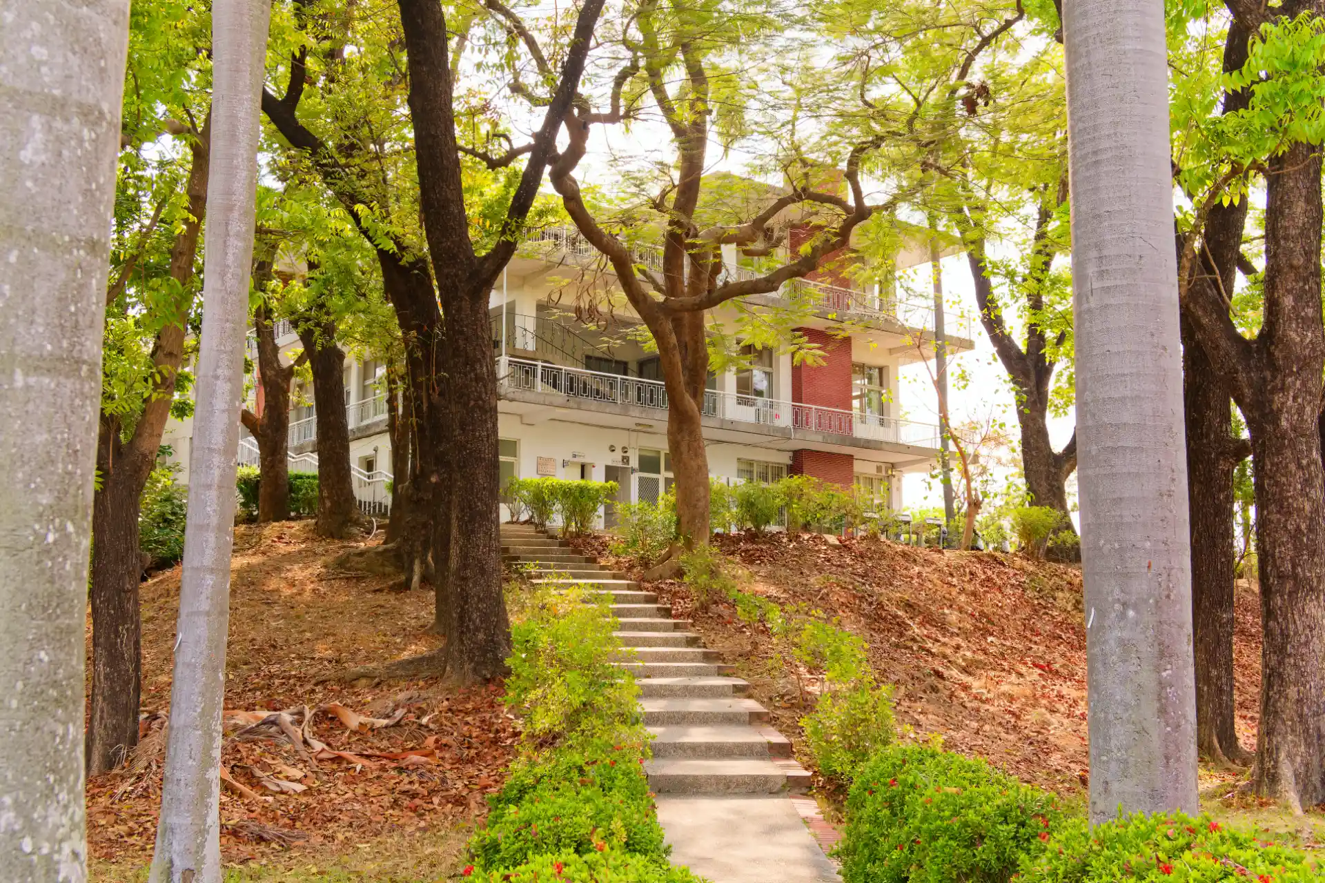 View looking uphill through some trees and a manicured garden, towards a three-story mid-century modern house. The scene looks serene.