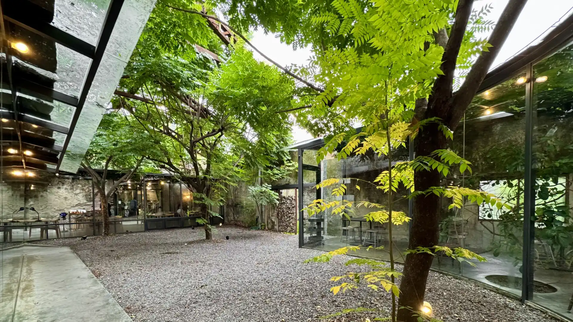 A gravel courtyard with vibrant green trees, surrounded by the curved glass-walled rooms of a concrete-and-glass cafe.