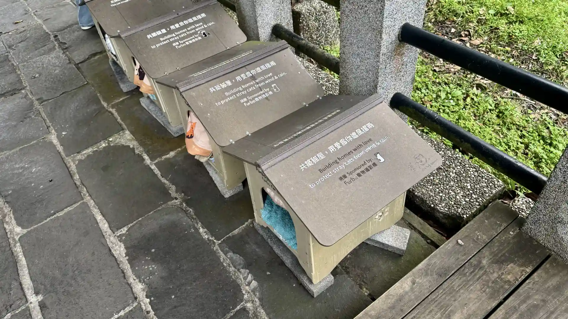 A row of single cat shelter boxes at Houtong Village.