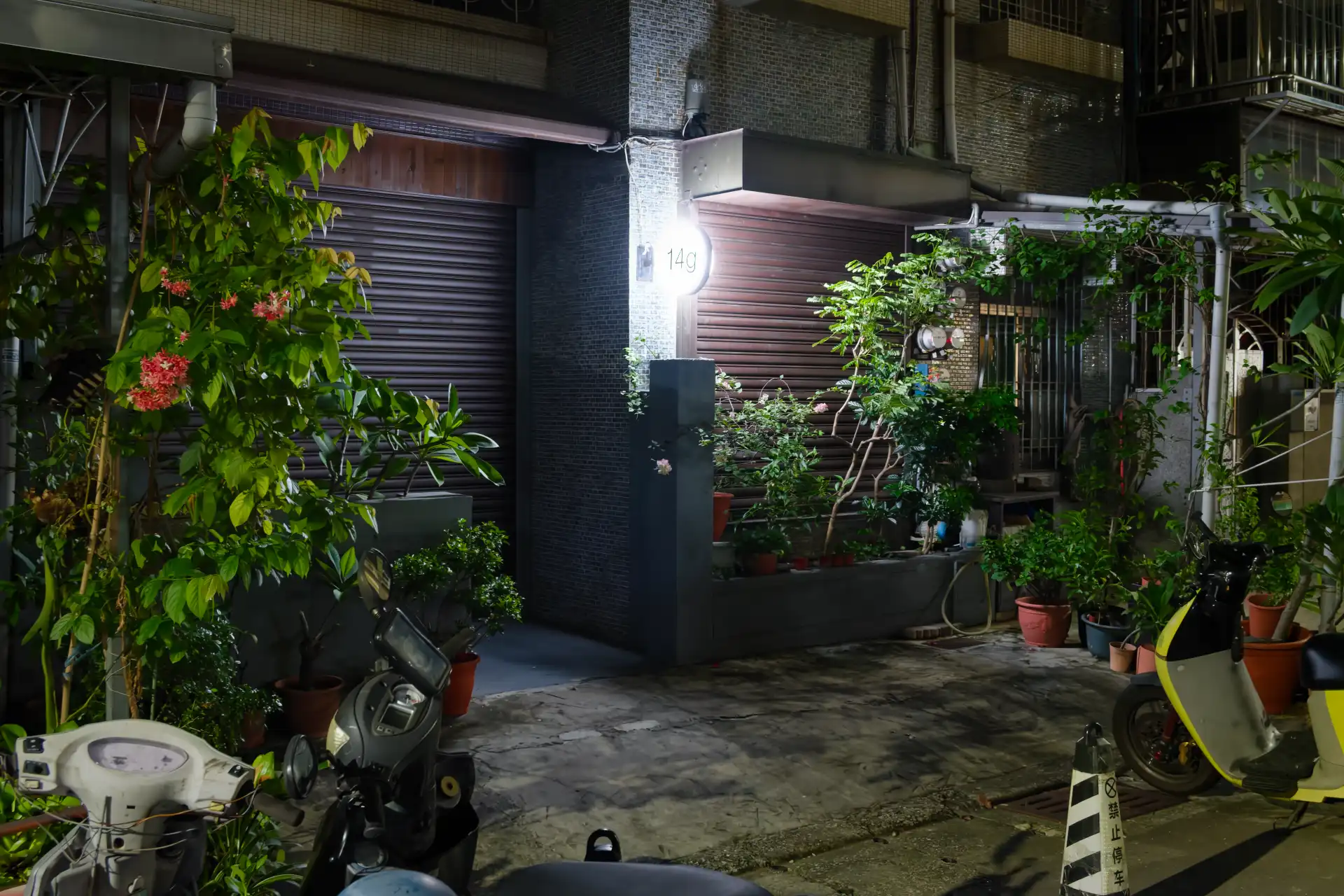 Roller doors cover the street frontage of a closed cafe on a narrow lane in Kaohsiung, Taiwan. There are many potted plants decorating the street frontage.