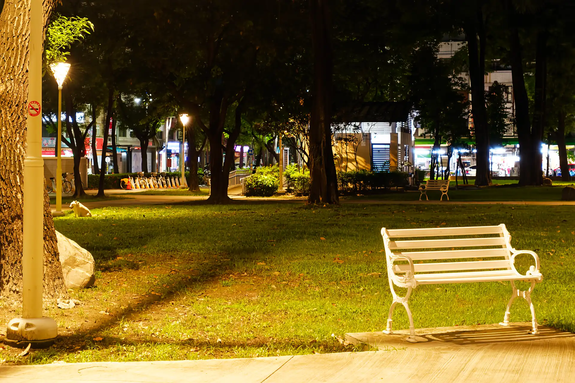 A park bench in a leafy park in Kaohsiung. In the distance, a white Shiba Inu dog and a line-up of bike-share YouBikes at a docking station.