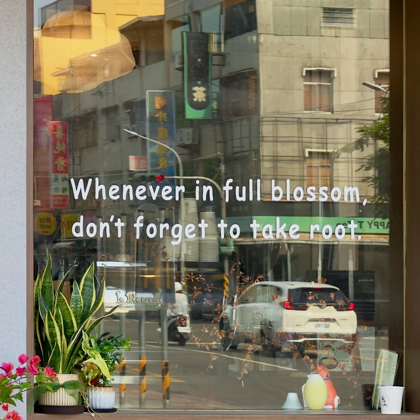 A cafe window with the sentence “Whenever in full blossom, don’t forget to take root” printed on the window.