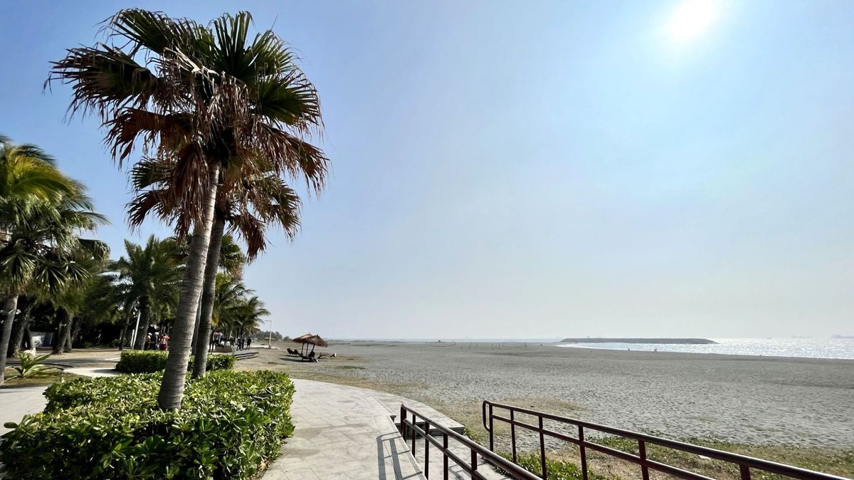 Palm trees next to an expansive sandy beach, with sun umbrellas in the distance.