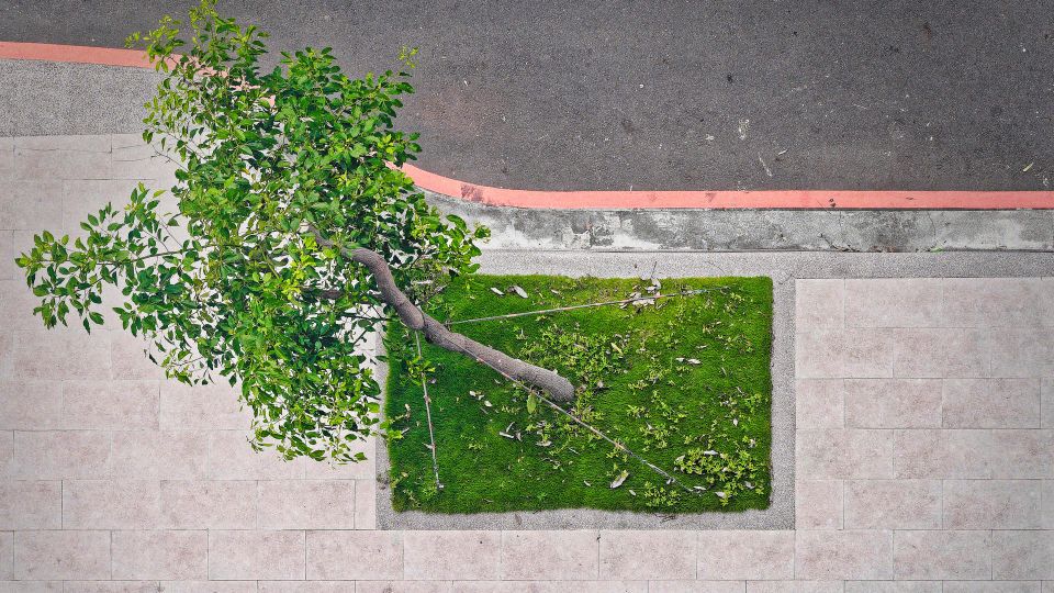 An ego boost at reception