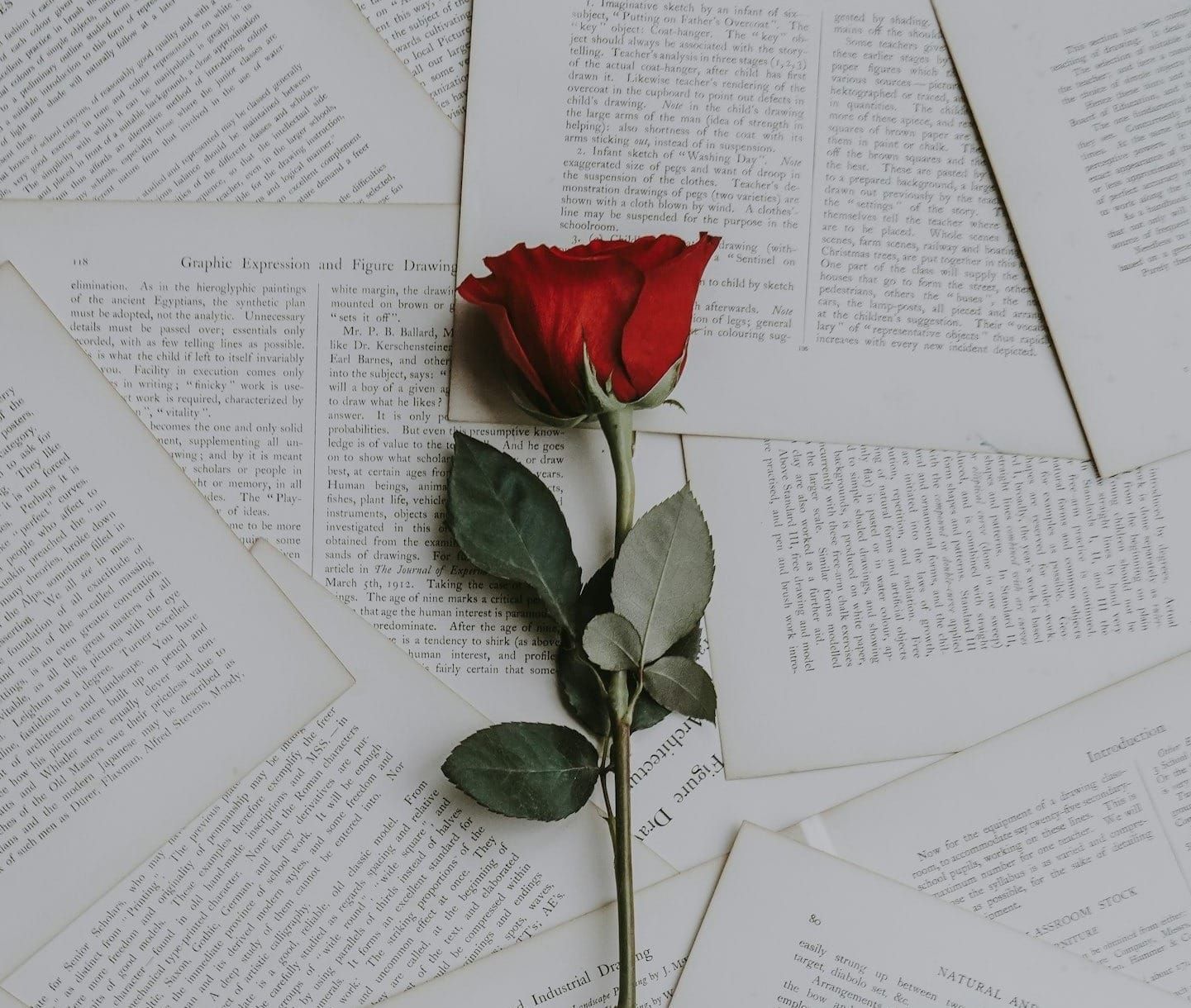 魅力养成（内容地图）