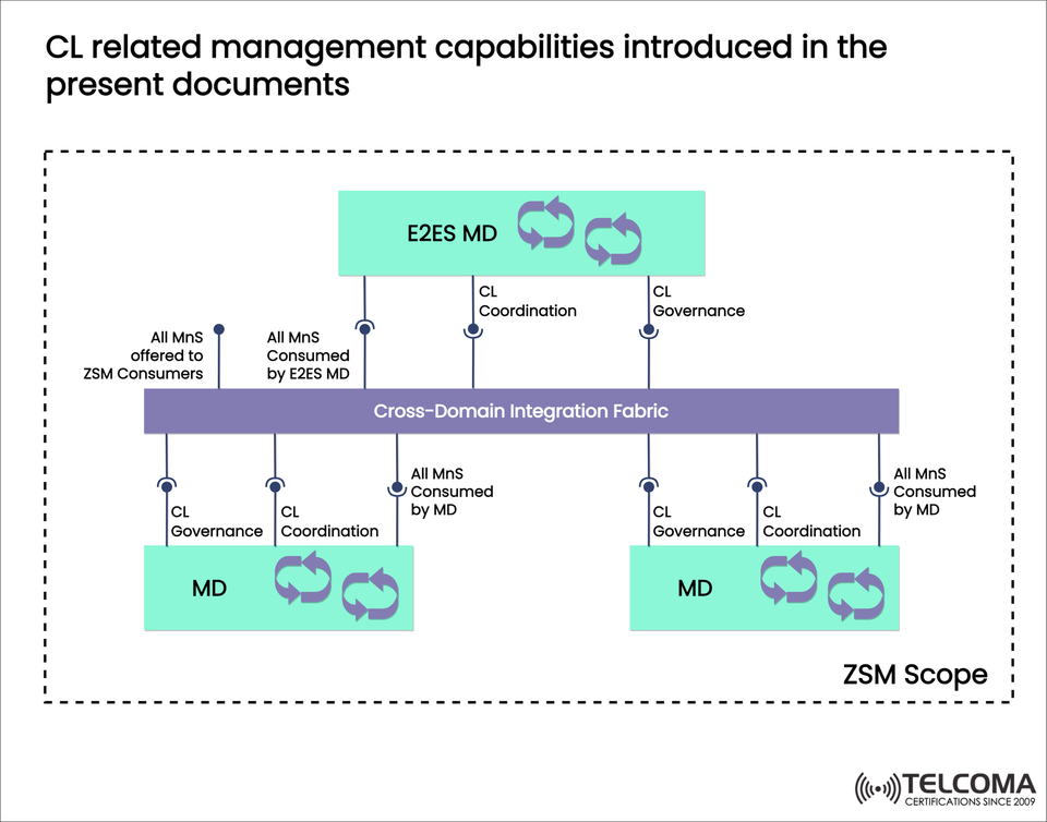 CL-Related Management Capabilities in ZSM: Governance, Coordination, and Cross-Domain Integration