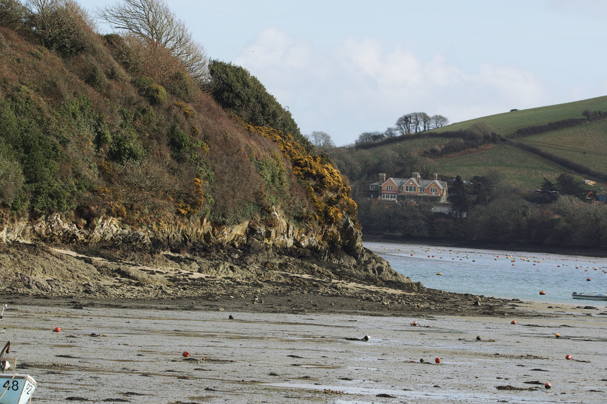 Pictures in February