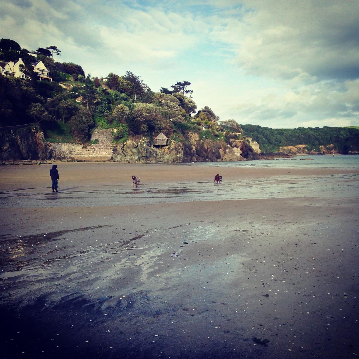 Finding a new Bohemia