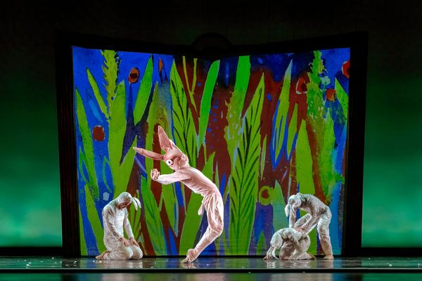 ✨ A San Francisco Holiday Classic: The Velveteen Rabbit