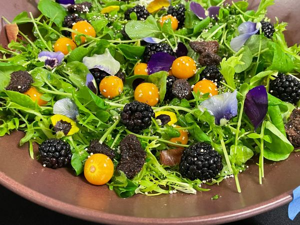 2026 is looking tasty already