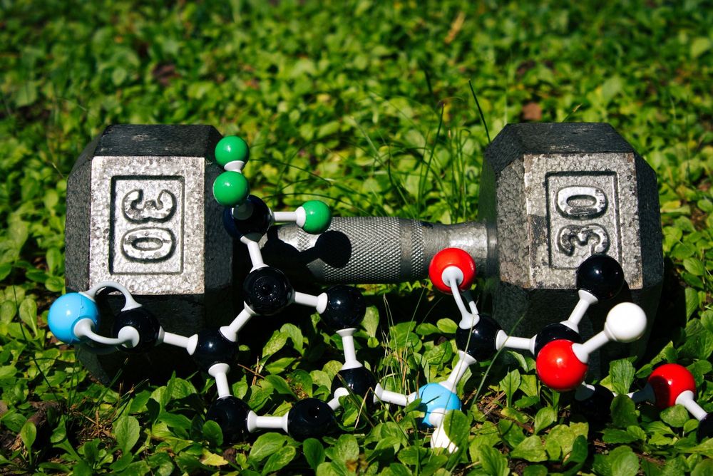 The Muscle Preservation Revolution: How Enobosarm (VERU) and Novo Nordisk are Redefining the Future of Obesity Medicine