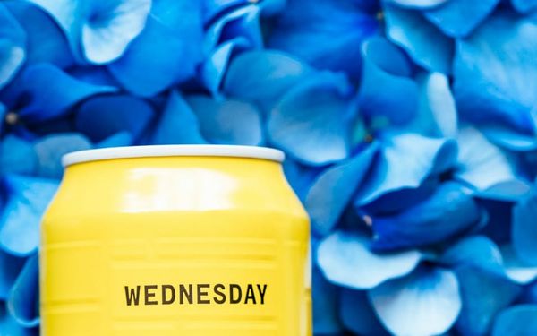 OP-ED - 'If weekend go sweet': Fatu Ogwuche's reading of African Tech's 2024 'Wednesday' signals