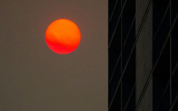 OP-ED - Cue ominous film score: is the AI agent apocalypse upon us?