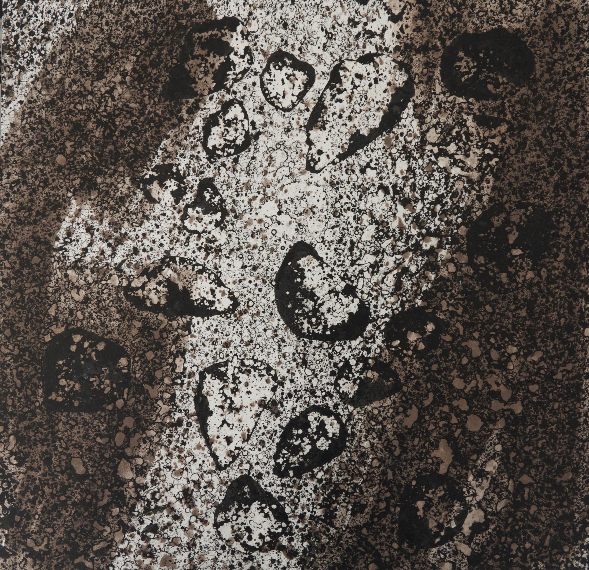 Lave torrentielle #2, 52 x 52 cm, 2014