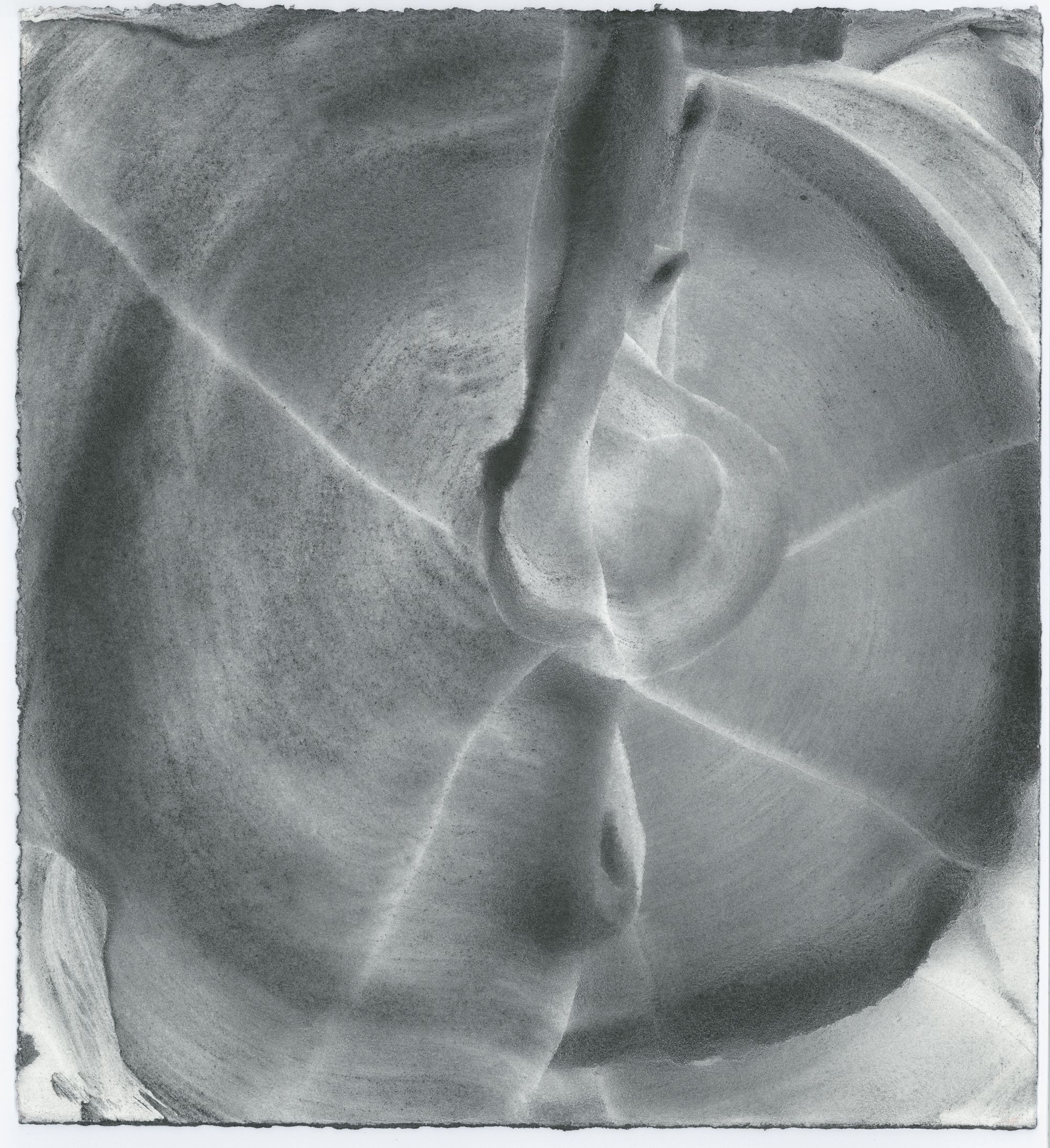 28 x 26 cm, 2019