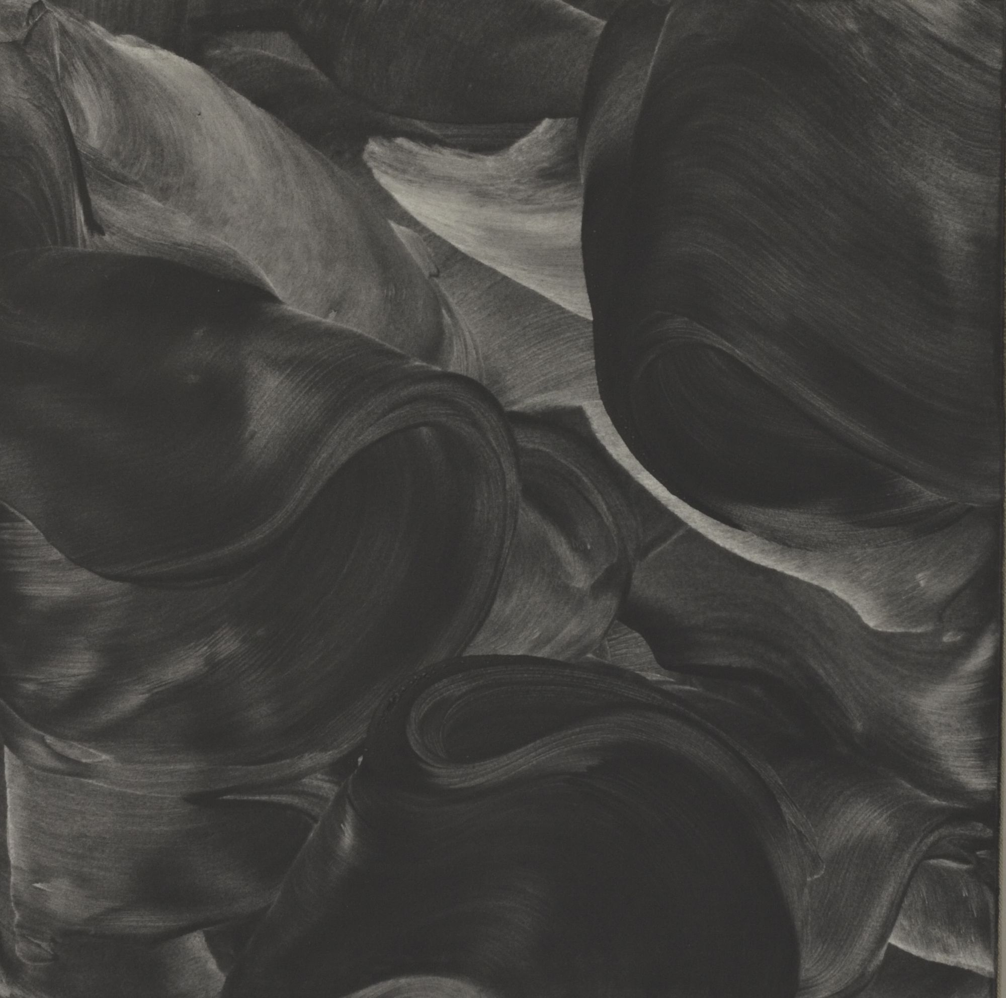 50 x 50 cm, 2019
