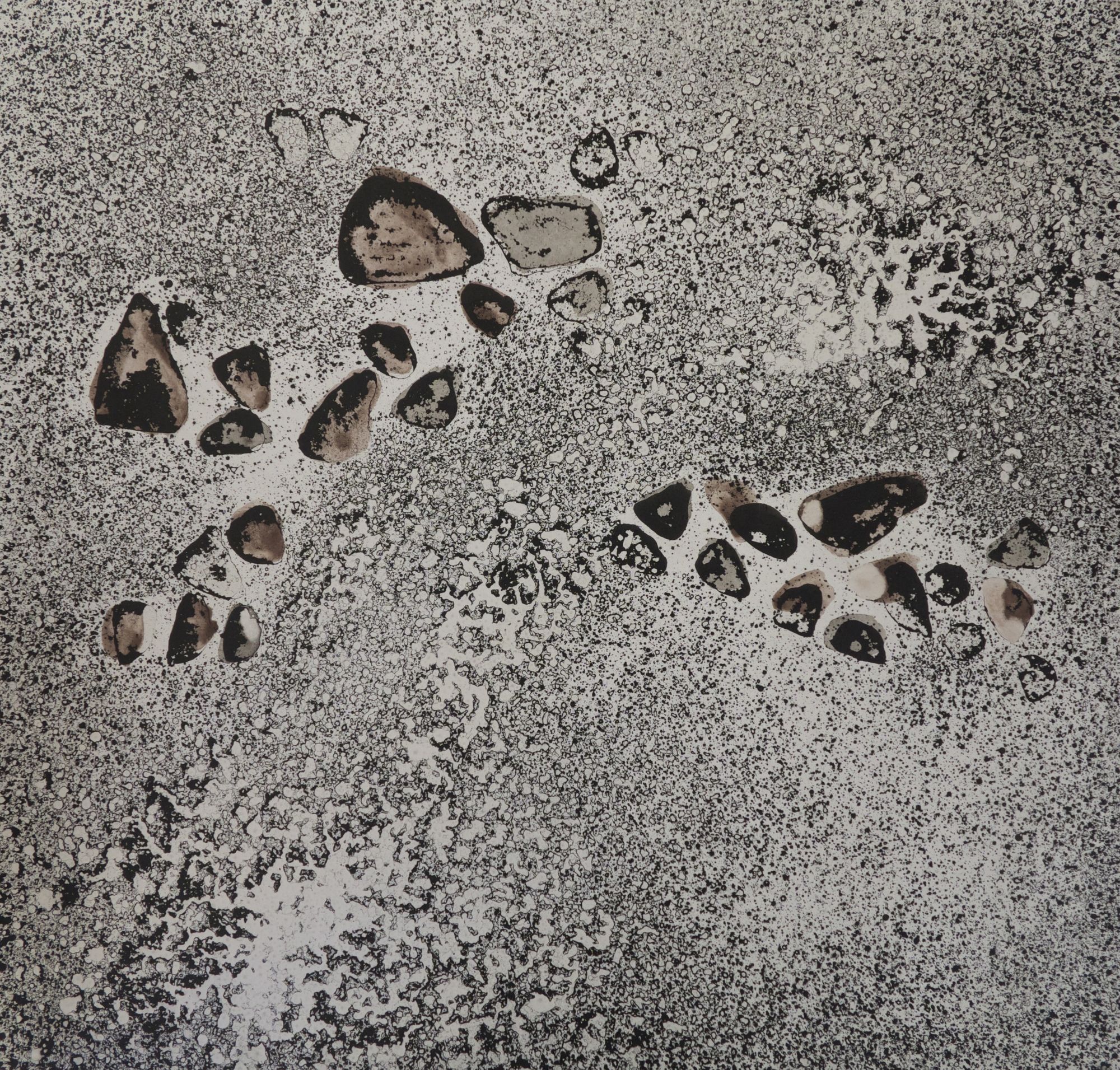Torrent #6, 72 x 74 cm, 2014