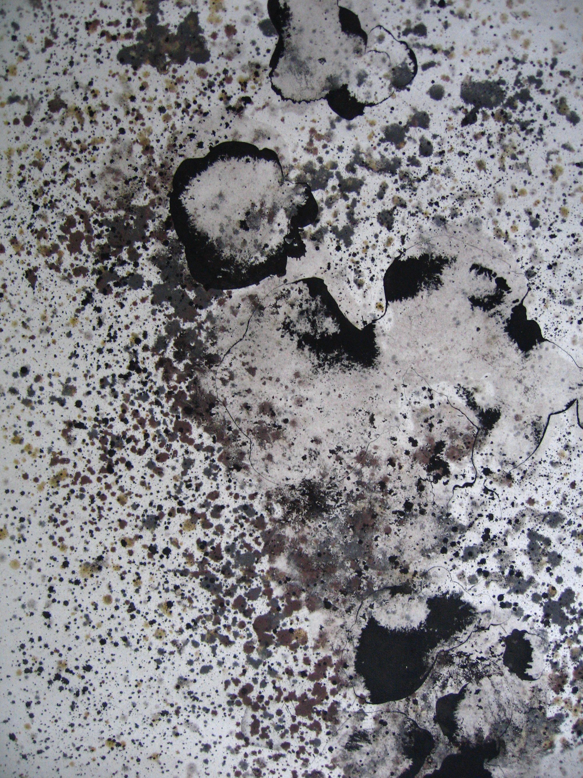 lit de rivière #1, 105 x 75cm, 2010