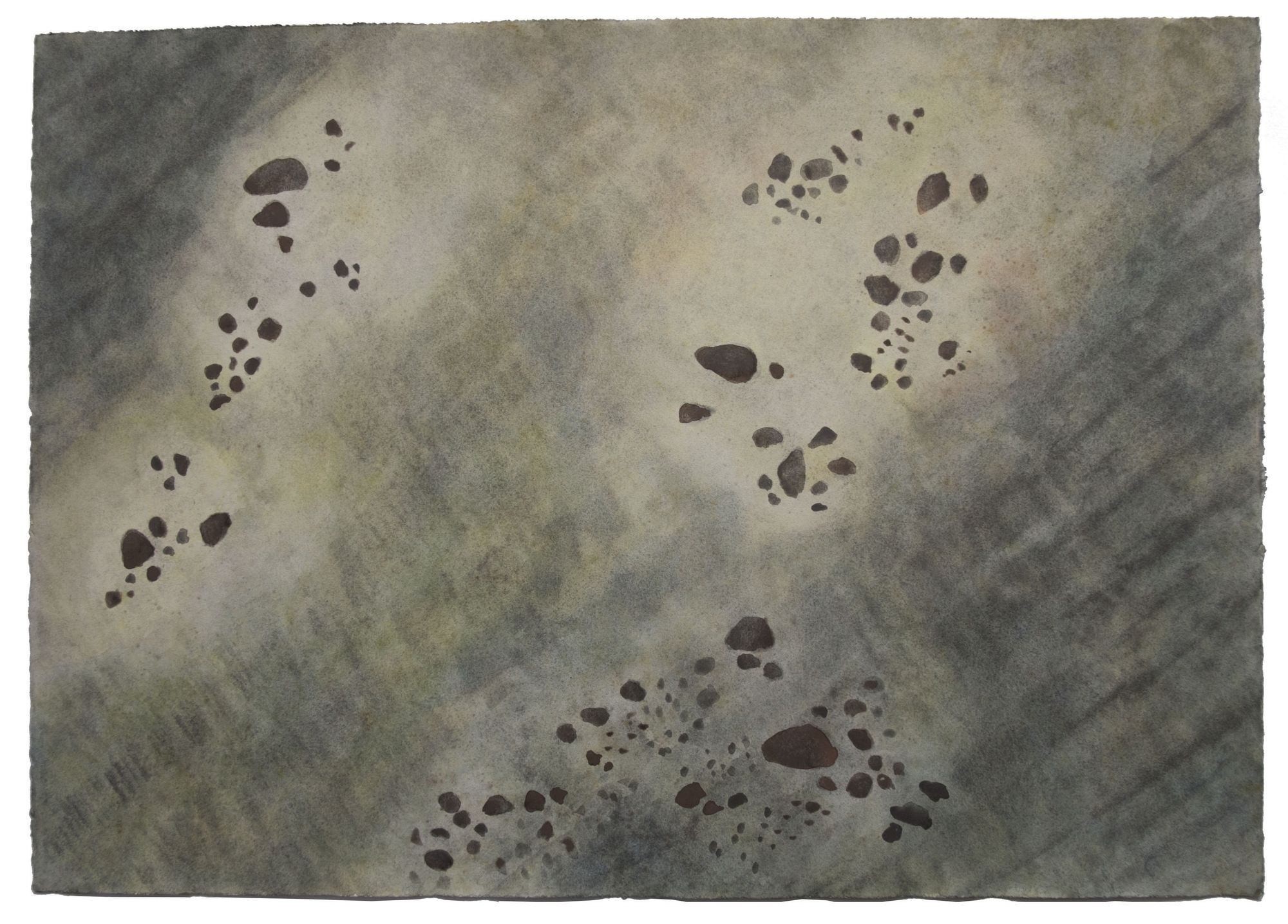 Lit de rivière #2, 75 x 110cm, 2014