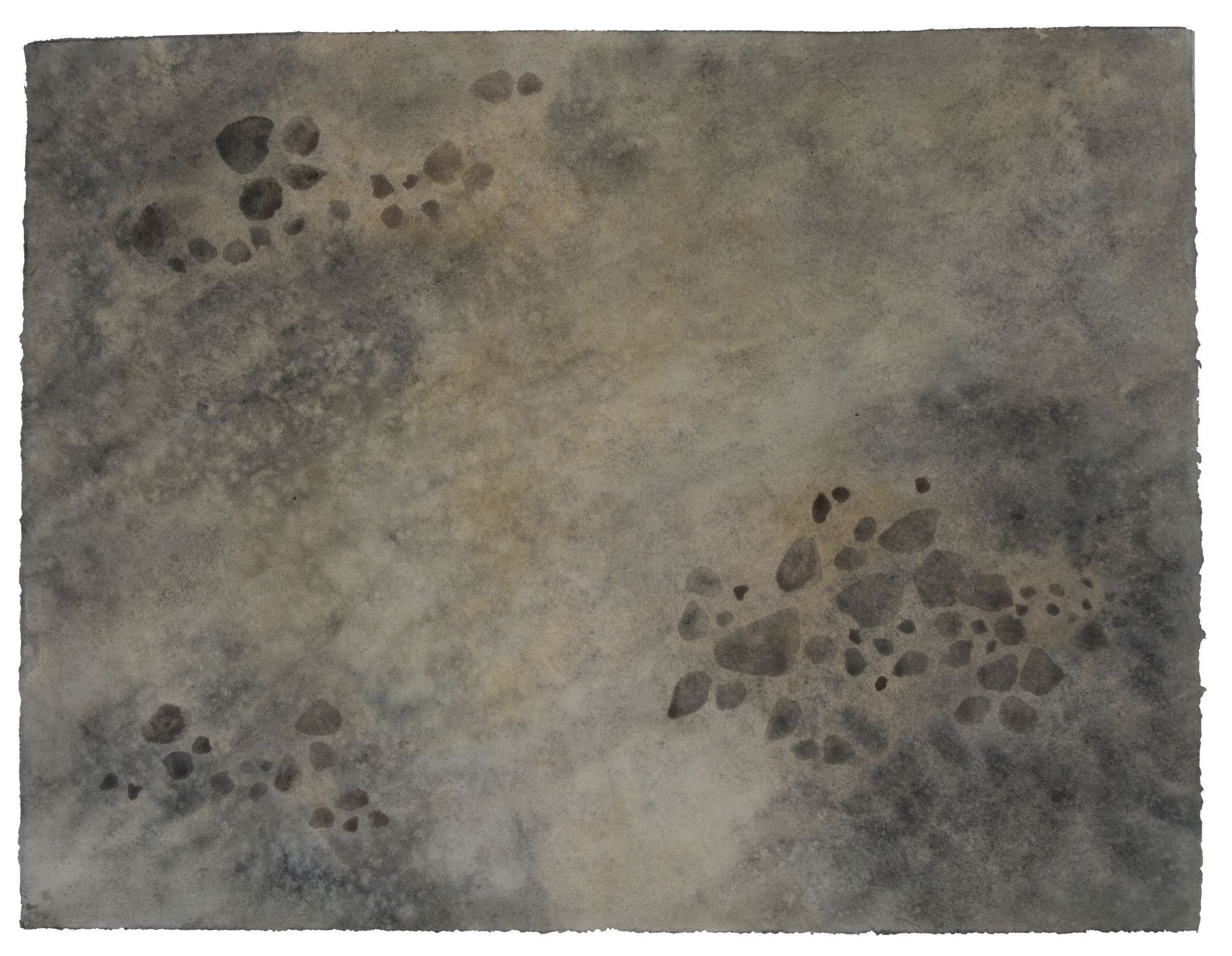 Lit de rivière #1, 50 x 55cm, 2014