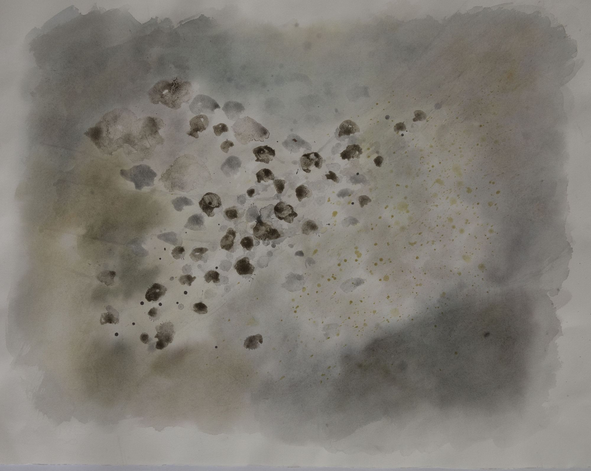 Lit de rivière #2, 50 x 55cm, 2014