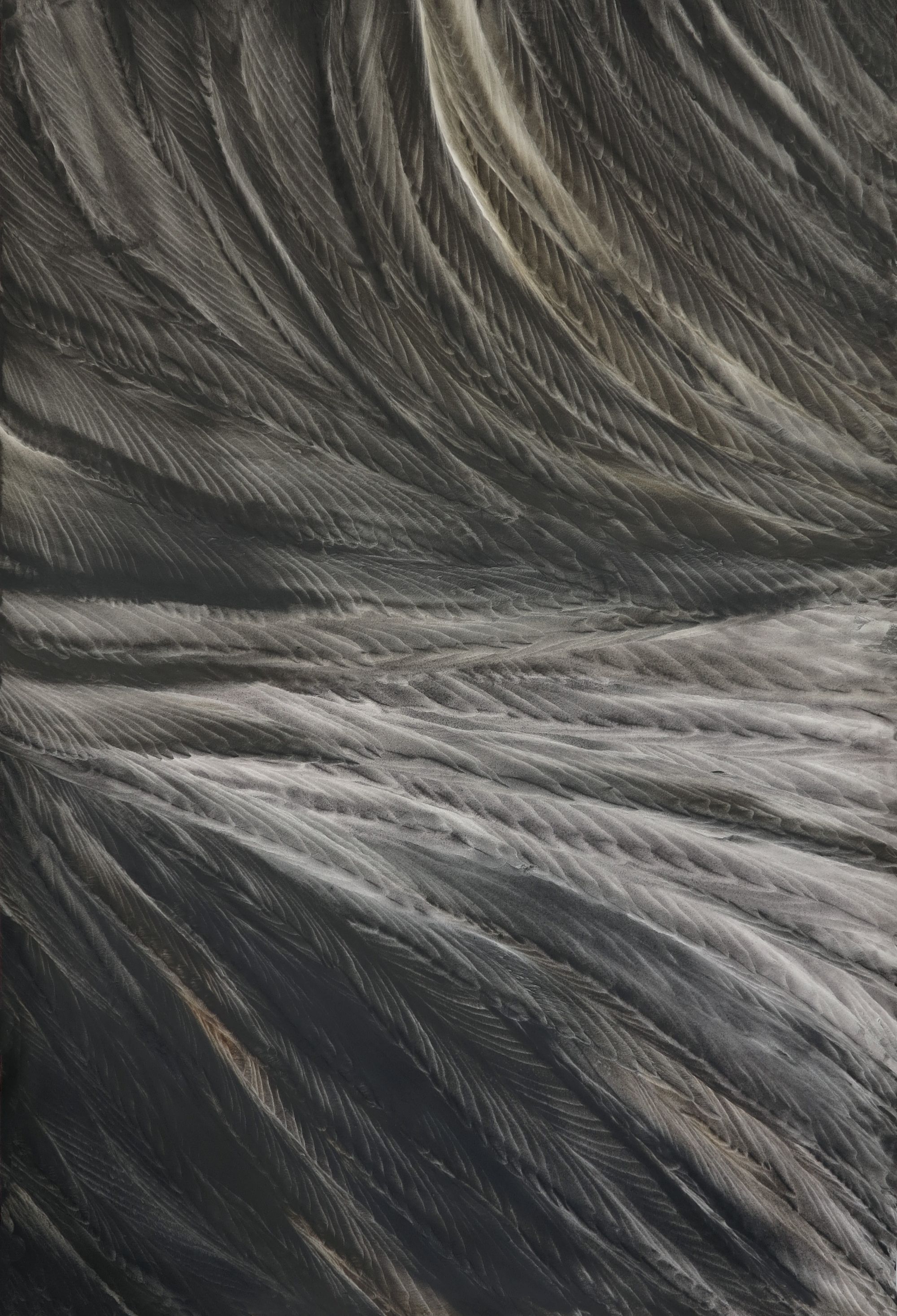 Oscillography, 130 x 89 cm, 2019