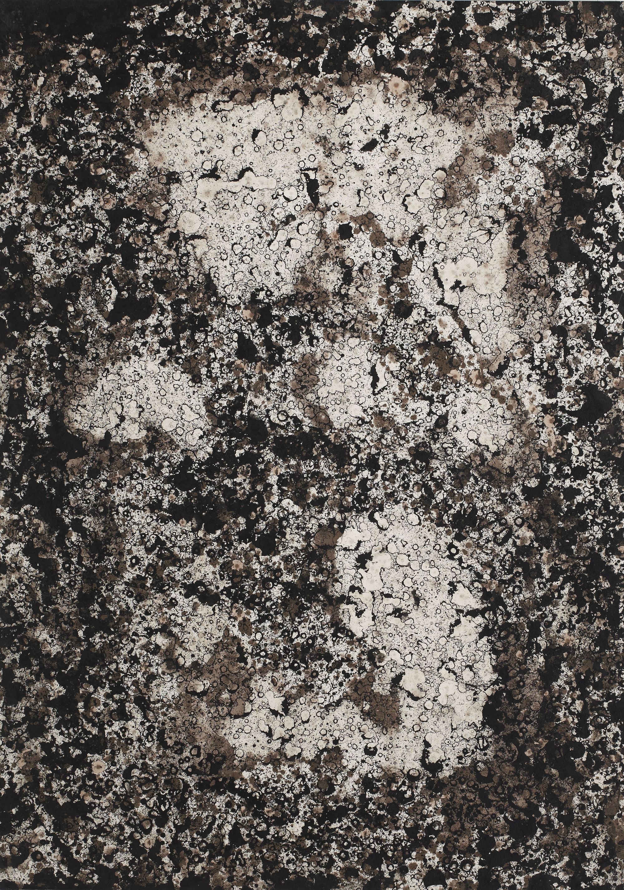 Roches, 105 x 75cm, 2012