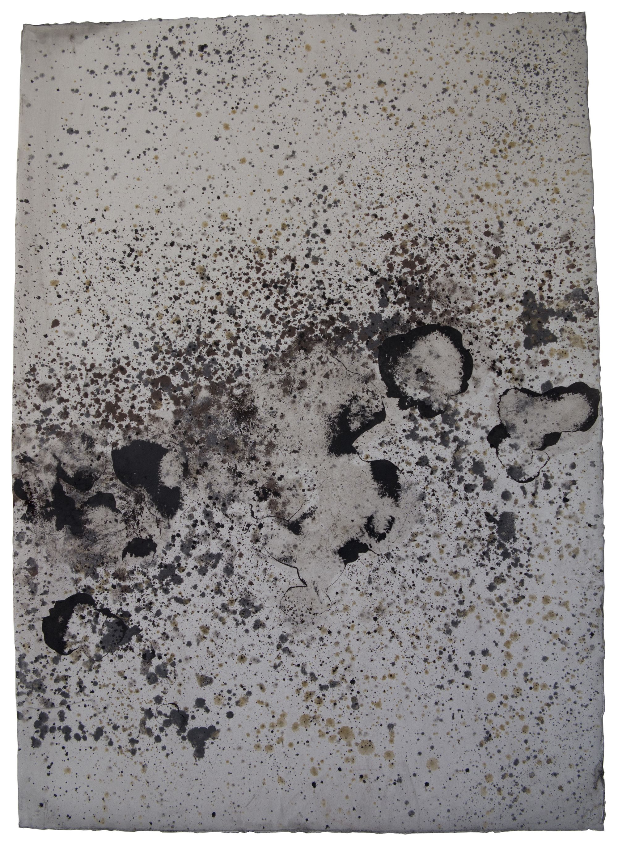 lit de rivière #3, 105 x 75cm, 2010