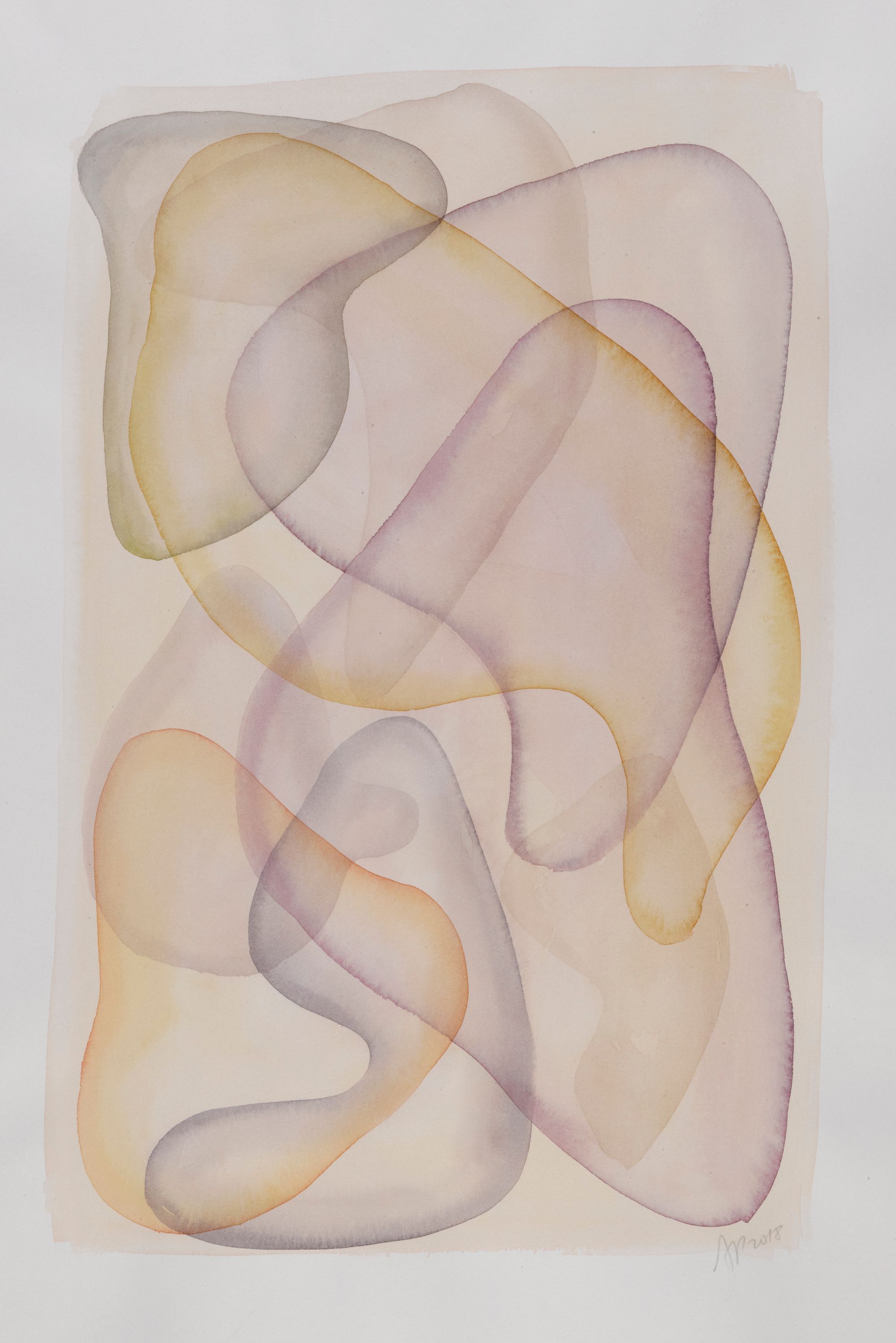 Skin &amp; Continents, 65 x 50cm, 2018