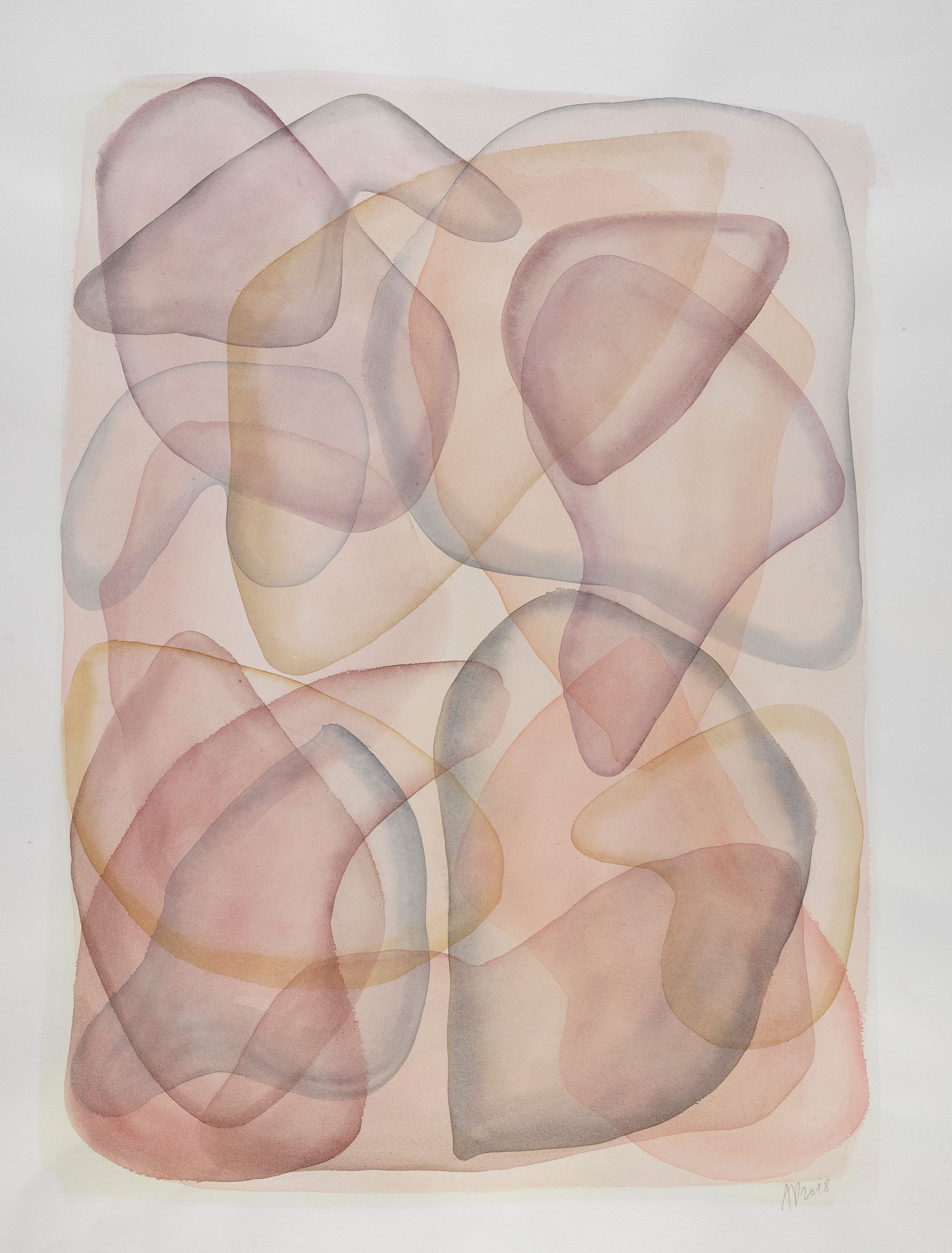 Skin &amp; Continents, 65 x 50cm, 2018