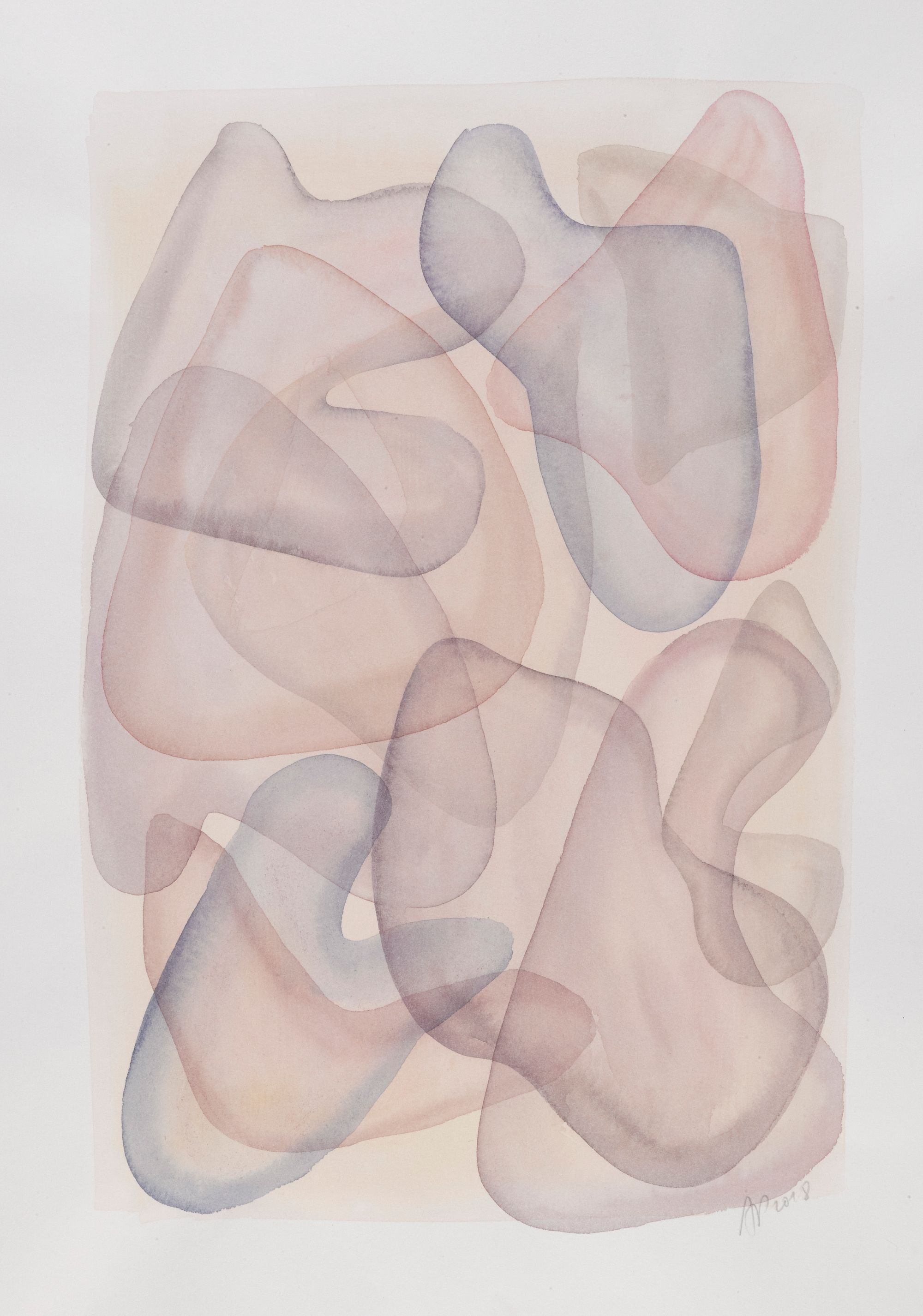 Skin &amp; Continents, 32 x 25cm, 2018